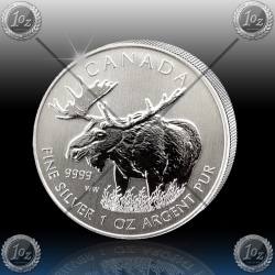 1oz KANADA " MOOSE - LOS " 2012